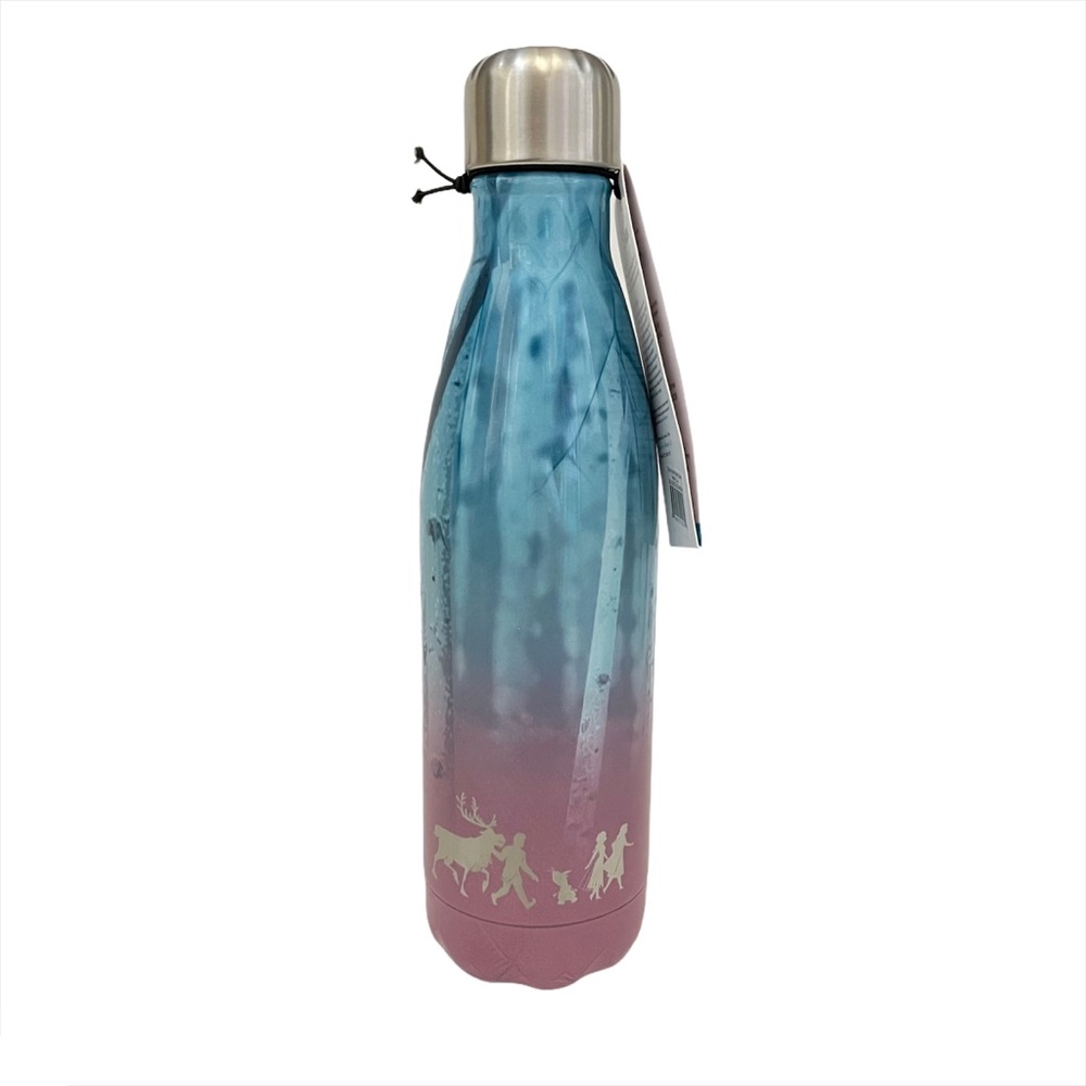 Swell | Disney Frozen stainless steel water bottle